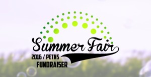 summer fair 2016