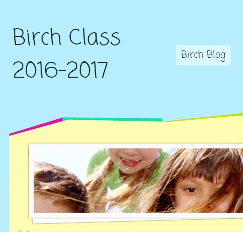 birch class